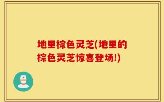 地里棕色灵芝(地里的棕色灵芝惊喜登场!)