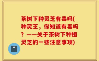 茶树下种灵芝有毒吗(种灵芝，你知道有毒吗？——关于茶树下种植灵芝的一些注意事项)