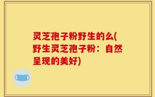灵芝孢子粉野生的么(野生灵芝孢子粉：自然呈现的美好)