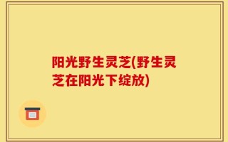 阳光野生灵芝(野生灵芝在阳光下绽放)