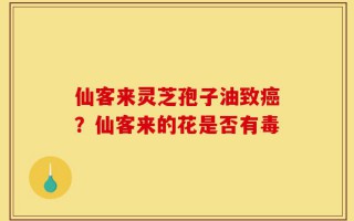 仙客来灵芝孢子油致癌？仙客来的花是否有毒