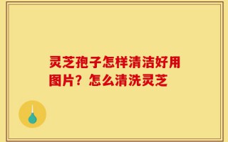 灵芝孢子怎样清洁好用图片？怎么清洗灵芝