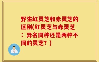野生红灵芝和赤灵芝的区别(红灵芝与赤灵芝：异名同种还是两种不同的灵芝？)
