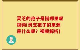 灵芝的孢子是指哪里呢视频(灵芝孢子的来源是什么呢？视频解析)