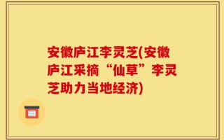 安徽庐江李灵芝(安徽庐江采摘“仙草”李灵芝助力当地经济)