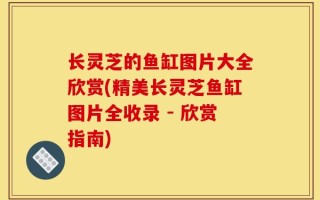 长灵芝的鱼缸图片大全欣赏(精美长灵芝鱼缸图片全收录 - 欣赏指南)