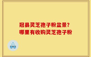 冠县灵芝孢子粉盆景？哪里有收购灵芝孢子粉
