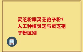 灵芝粉跟灵芝孢子粉？人工种植灵芝与灵芝孢子粉区别