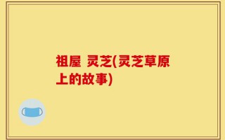 祖屋 灵芝(灵芝草原上的故事)