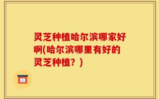 灵芝种植哈尔滨哪家好啊(哈尔滨哪里有好的灵芝种植？)