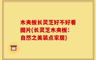 木夹板长灵芝好不好看图片(长灵芝木夹板：自然之美装点家居)