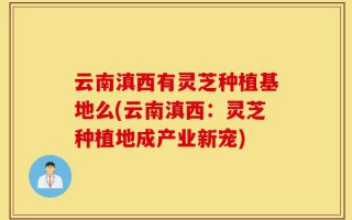 云南滇西有灵芝种植基地么(云南滇西：灵芝种植地成产业新宠)