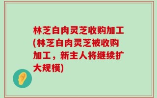 林芝白肉灵芝收购加工(林芝白肉灵芝被收购加工，新主人将继续扩大规模)