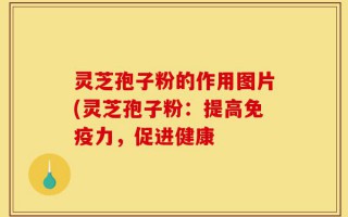 灵芝孢子粉的作用图片(灵芝孢子粉：提高免疫力，促进健康
