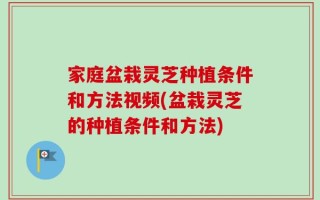 家庭盆栽灵芝种植条件和方法视频(盆栽灵芝的种植条件和方法)