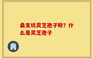 桑支坑灵芝孢子粉？什么是灵芝孢子