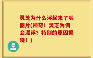 灵芝为什么浮起来了呢图片(神奇！灵芝为何会漂浮？特别的原因揭晓！)