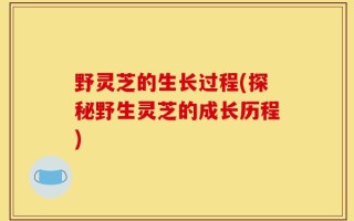 野灵芝的生长过程(探秘野生灵芝的成长历程)