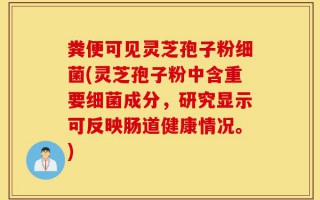 粪便可见灵芝孢子粉细菌(灵芝孢子粉中含重要细菌成分，研究显示可反映肠道健康情况。)