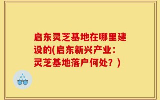 启东灵芝基地在哪里建设的(启东新兴产业：灵芝基地落户何处？)