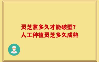 灵芝煮多久才能破壁？人工种植灵芝多久成熟