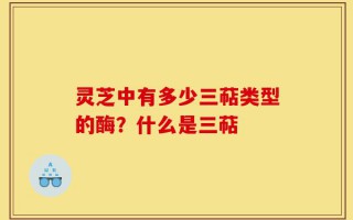 灵芝中有多少三萜类型的酶？什么是三萜