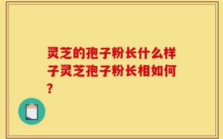 灵芝的孢子粉长什么样子灵芝孢子粉长相如何？