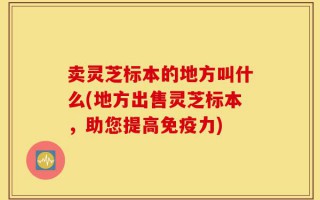 卖灵芝标本的地方叫什么(地方出售灵芝标本，助您提高免疫力)