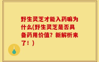 野生灵芝才能入药嘛为什么(野生灵芝是否具备药用价值？新解析来了！)