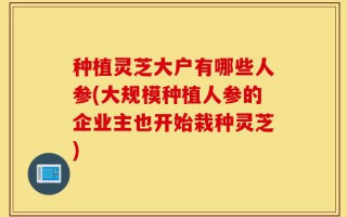 种植灵芝大户有哪些人参(大规模种植人参的企业主也开始栽种灵芝)