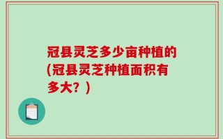 冠县灵芝多少亩种植的(冠县灵芝种植面积有多大？)