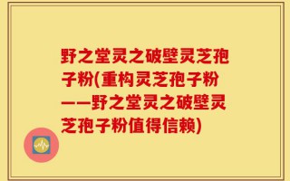 野之堂灵之破壁灵芝孢子粉(重构灵芝孢子粉——野之堂灵之破壁灵芝孢子粉值得信赖)