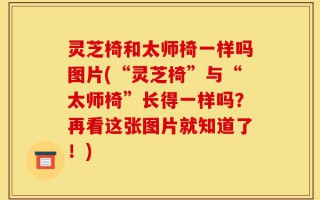 灵芝椅和太师椅一样吗图片(“灵芝椅”与“太师椅”长得一样吗？再看这张图片就知道了！)