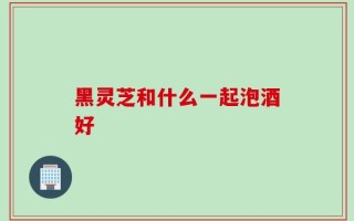 黑灵芝和什么一起泡酒好