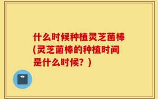 什么时候种植灵芝菌棒(灵芝菌棒的种植时间是什么时候？)