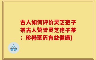古人如何评价灵芝孢子茶古人赞誉灵芝孢子茶：珍稀草药有益健康)