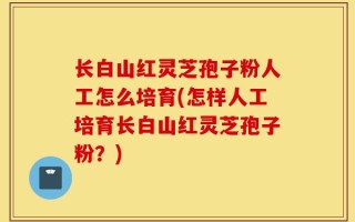 长白山红灵芝孢子粉人工怎么培育(怎样人工培育长白山红灵芝孢子粉？)