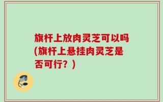 旗杆上放肉灵芝可以吗(旗杆上悬挂肉灵芝是否可行？)