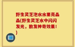 野生灵芝泡水水里亮晶晶(野生灵芝水中闪闪发光，散发神奇效果！)