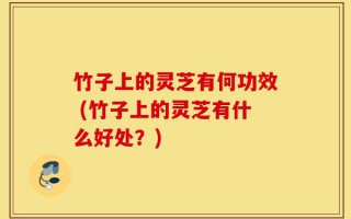 竹子上的灵芝有何功效 (竹子上的灵芝有什么好处？)