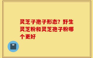 灵芝子孢子形态？野生灵芝粉和灵芝孢子粉哪个更好