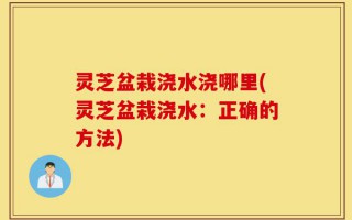 灵芝盆栽浇水浇哪里(灵芝盆栽浇水：正确的方法)