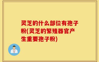灵芝的什么部位有孢子粉(灵芝的繁殖器官产生重要孢子粉)
