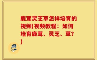 鹿茸灵芝草怎样培育的视频(视频教程：如何培育鹿茸、灵芝、草？)