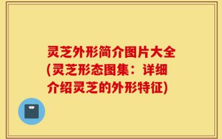 灵芝外形简介图片大全(灵芝形态图集：详细介绍灵芝的外形特征)