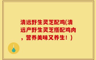 清远野生灵芝配鸡(清远产野生灵芝搭配鸡肉，营养美味又养生！)