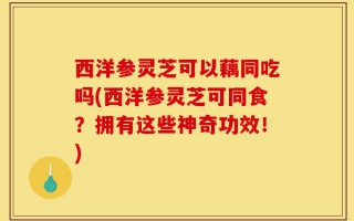 西洋参灵芝可以藕同吃吗(西洋参灵芝可同食？拥有这些神奇功效！)