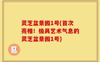 灵芝盆景园1号(首次亮相！极具艺术气息的灵芝盆景园1号)