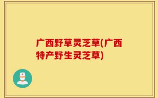 广西野草灵芝草(广西特产野生灵芝草)