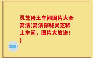 灵芝稀土车间图片大全高清(高清探秘灵芝稀土车间，图片大放送！)